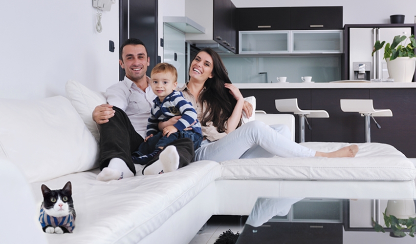 Carpet cleaning tips