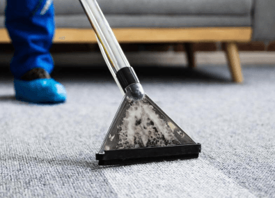 Comprehensive Deep Carpet Cleaning