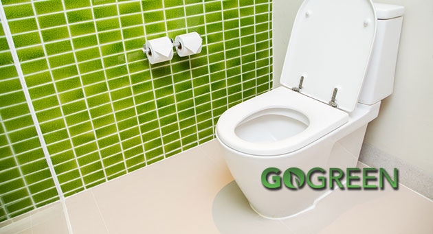 Go Green, Toilet Clean!